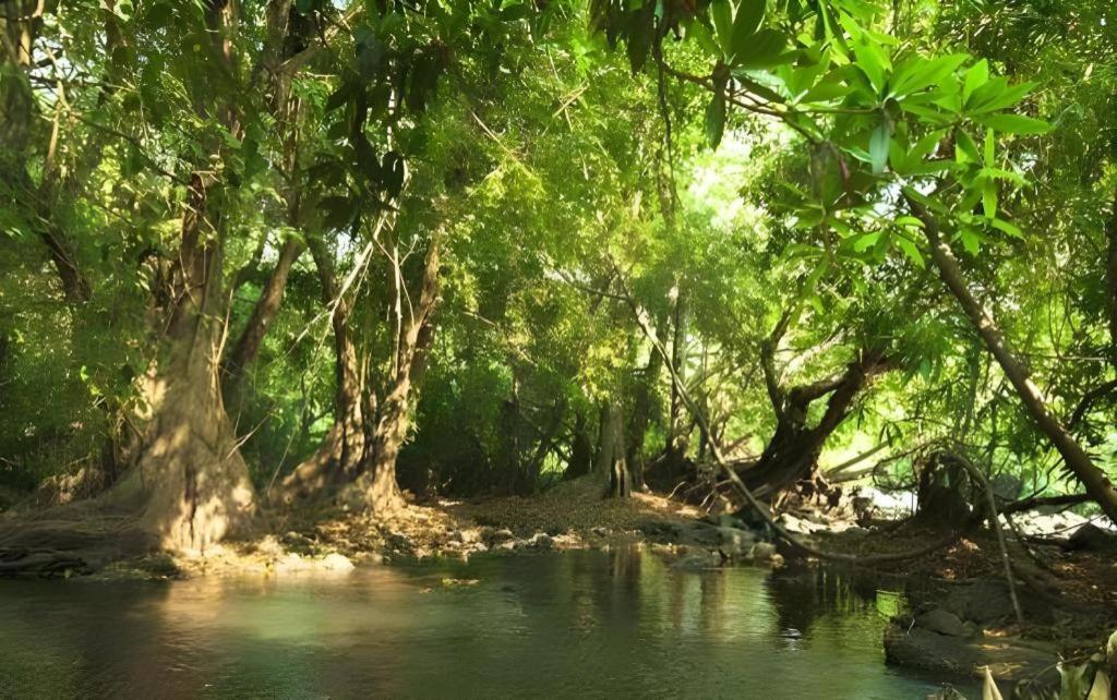 Natural Park Resort De Wang Thong Phitsanulok Exterior foto